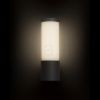 GARRET fali lámpa antracitszürke 230V LED 15W IP65 3000K