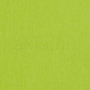 RON 55/30 lámpabúra  Chintz lime/fehér PVC  max. 23W