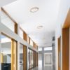LANA 40 felületre szerelhető  dekoratív bükk/műanyag 230V LED 32W  3000K 4000K 6000K